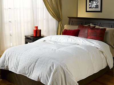 Steal of the Day:  Serta Down Comforter